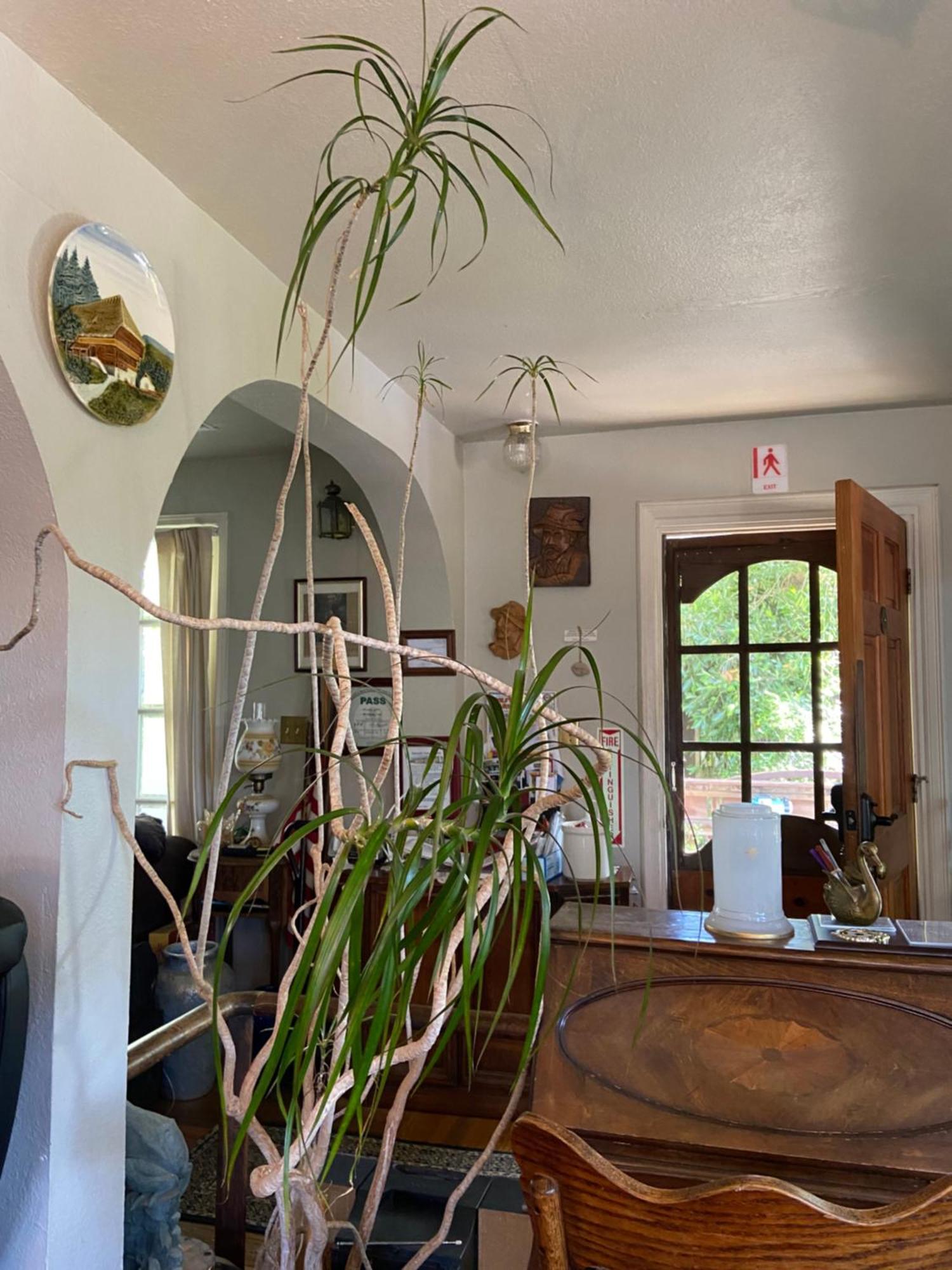 1 Belvedere Ave Muir Woods Mt Tamalpais Bolinas Lagoon Stinson Beach Esterno foto